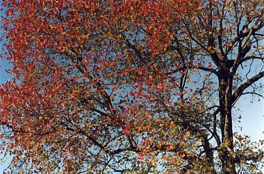 ������̓����N����Ă��܂���