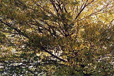 ������̓����N����Ă��܂���