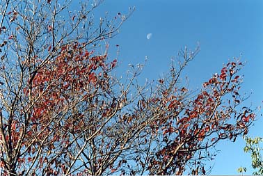 ������̓����N����Ă��܂���