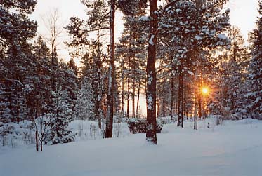 ������̓����N����Ă��܂���