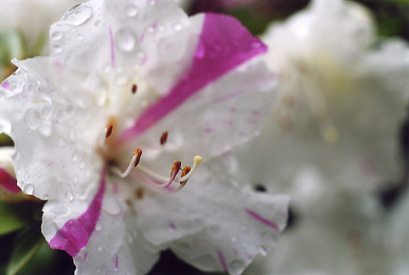 ������̓����N����Ă��܂���