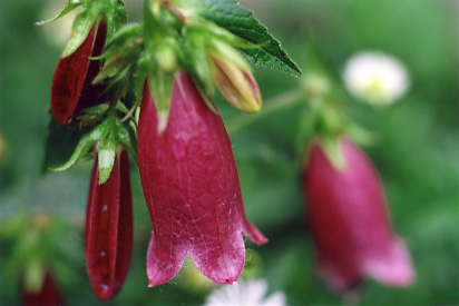 ������̓����N����Ă��܂���